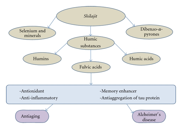 Shilajit-its-main-components-and-potential-uses-based-on-properties-of-fulvic-acid.png