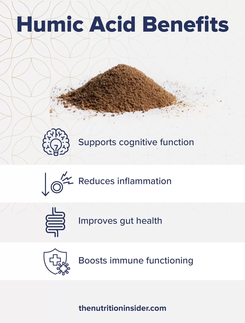 Shilajit-Vs_-Fulvic-Acid-What-They-Are-Benefits-for-Gut-Health-and-More_Humic-Acid-Benefits-1-1.webp